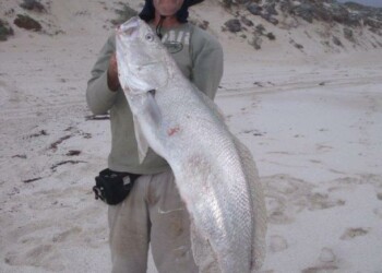 Report: SA beach fishing adventures